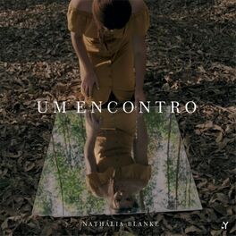 Album cover of Um Encontro