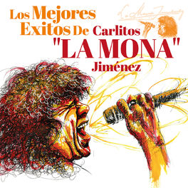 Album cover of Los Mejores Éxitos De Carlitos 