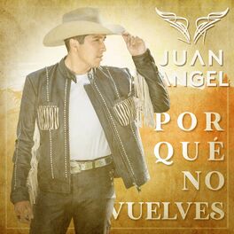 Album cover of Por Qué No Vuelves