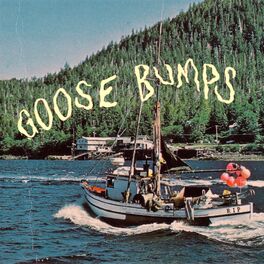 Album cover of Goose Bumps