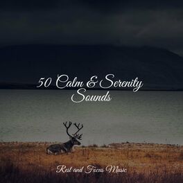 Album cover of 50 Calm & Serenity Sounds