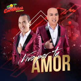 Album cover of Vivo por Tu Amor