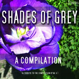 Album cover of Shades of Grey - A Fifty Track Compilation
