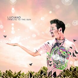 Album cover of Tribute to the Sun