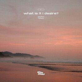Album cover of what is it i desire?