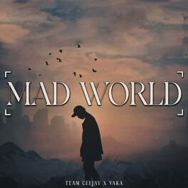 Album cover of Mad World