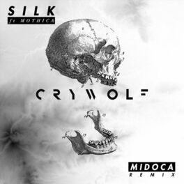 Album cover of Silk (Midoca Remix)