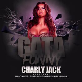 Album cover of Gata Funny