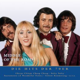Album cover of Nur das Beste: Die Hits der 70er