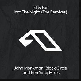 Album cover of Into The Night (The Remixes)