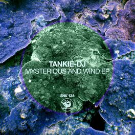 Album cover of Mysterious and Wind EP