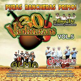 Album cover of 30 Violinazos Vol 5
