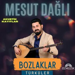 Album cover of Bozlaklar ve Türküler (Akustik Kayıtlar)