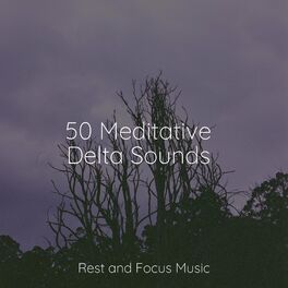 Album cover of 50 Meditative Delta Sounds