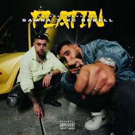 Album cover of Platin