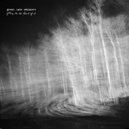 Album picture of Getting to the Heart of It (feat. Tony Dekker)