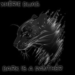 Album cover of DARK IS A PANTHER (BONUS TRACK VERSÃO)