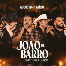 Album cover of João de Barro (Ao Vivo)