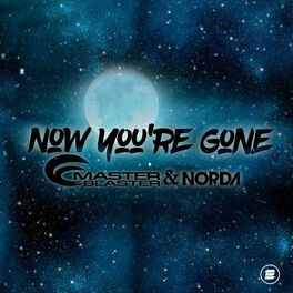Album cover of Now You're Gone