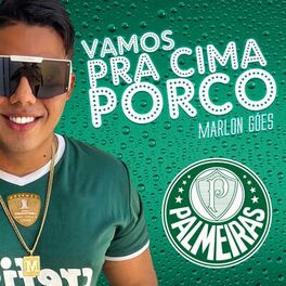 Album cover of VAMOS PRA CIMA PORCO PALMEIRAS