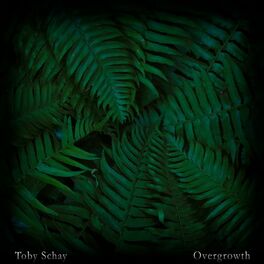 Album cover of Overgrowth