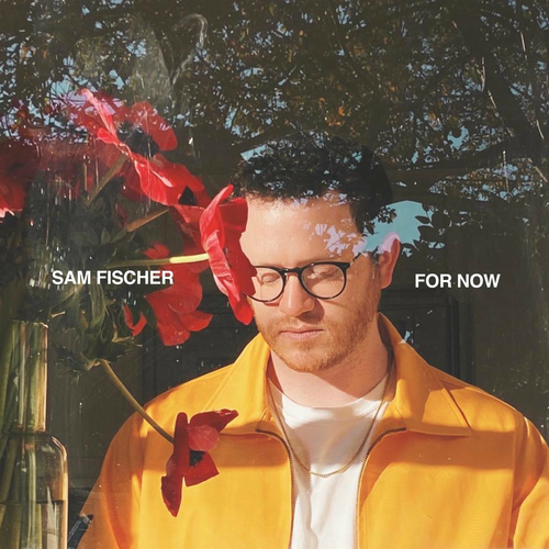 Sam Fischer For Now Lyrics And Songs Deezer