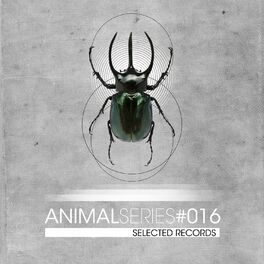 Album cover of Animal Series 016