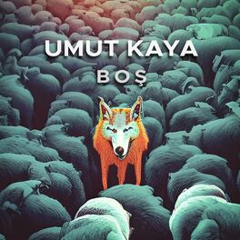 Album cover of Boş
