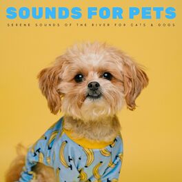 Album cover of Sounds For Pets: Serene Sounds Of The River For Cats & Dogs