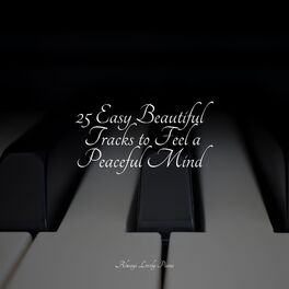 Album cover of 25 Easy Beautiful Tracks to Feel a Peaceful Mind