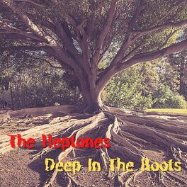 Album cover of Deep in the Roots