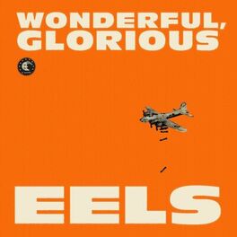 Album cover of Wonderful, Glorious