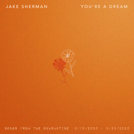 Album cover of You're a Dream