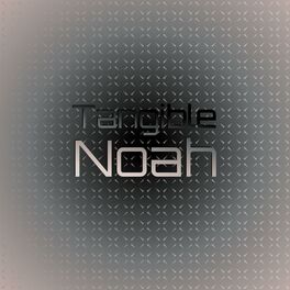Album cover of Tangible Noah