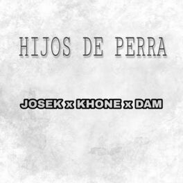 Album cover of HIJOS DE PERRA