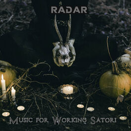 Album cover of Music For Working Satori