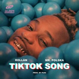 Album picture of TikTok Song (feat. Mr. Polska & Puri)