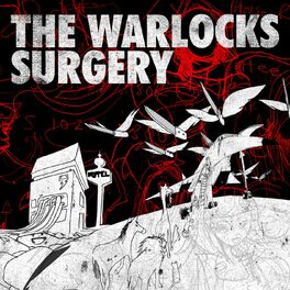 Album cover of Surgery