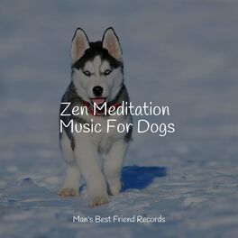 Album cover of Zen Meditation Music For Dogs