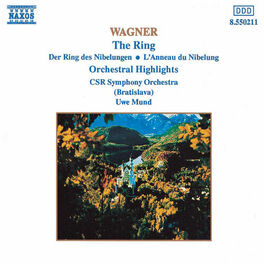 Album cover of Wagner, R.: Ring (Der) (Orchestral Highlights)