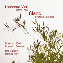 Album cover of Fileno: Soprano Cantatas