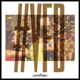 Album cover of #VFD