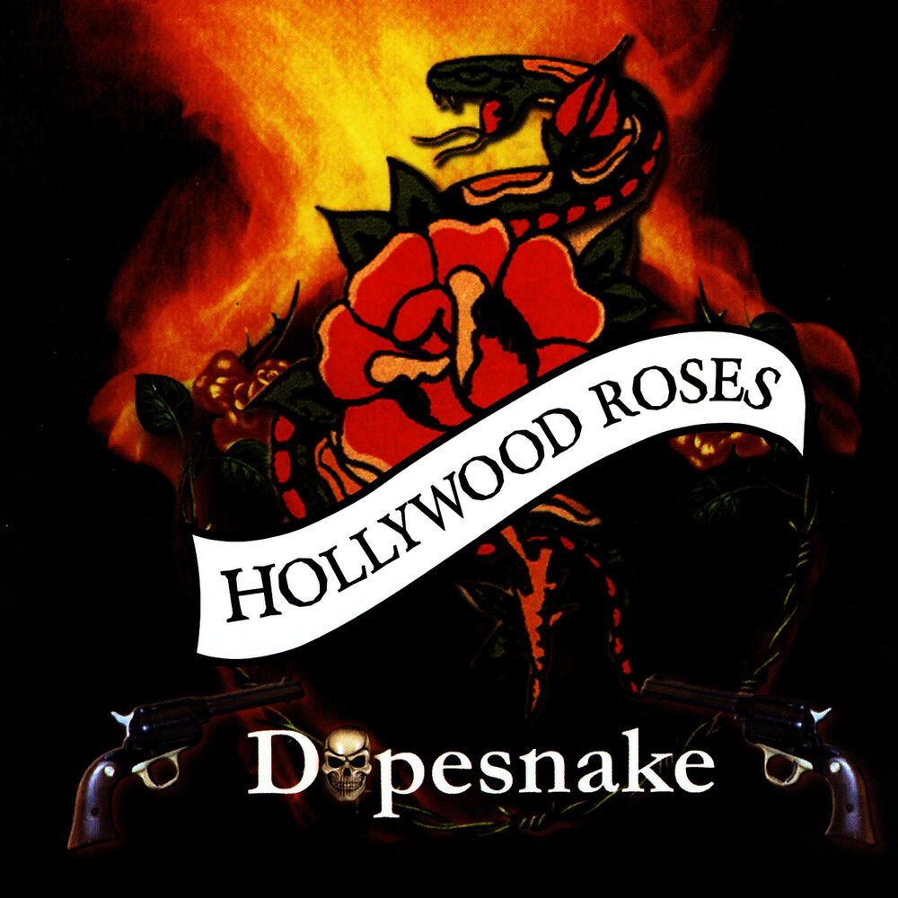 Hollywood rose