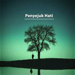 Album cover of Penyejuk Hati