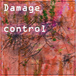 Album cover of Damage Control