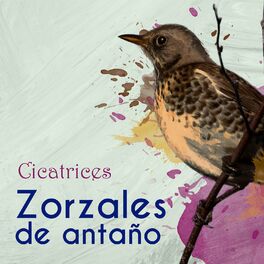 Album cover of Zorzales de Antaño / Cicatrices