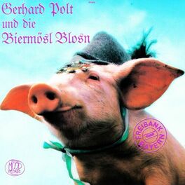 Album cover of Freibank Bayern