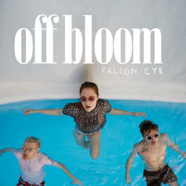 Album cover of Falcon Eye