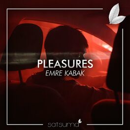Album cover of Pleasures (Instrumental)