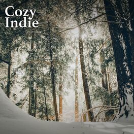 Album cover of Cozy Indie